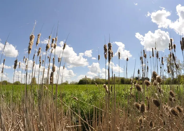 דירה 1 Chambre, 4 Couchages, Garage A - Fr-1-323-316 *